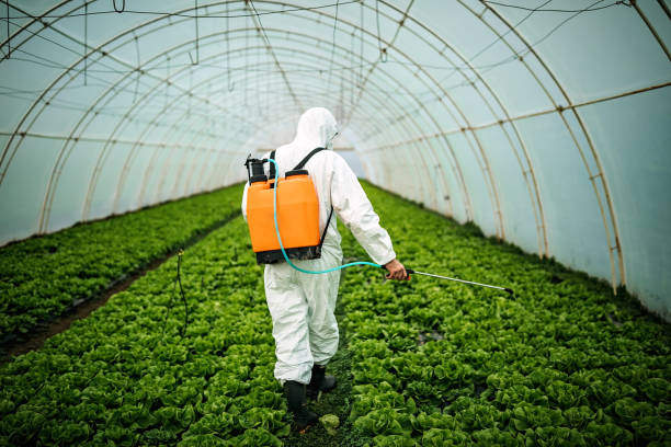 Best Local Pest Control Services  in Thompsonville, PA