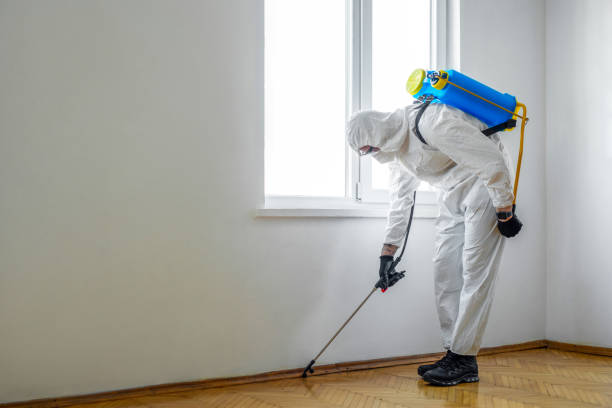 Best Insect Control  in Thompsonville, PA