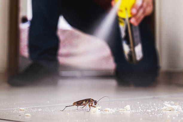 Best Wasp Removal Services  in Thompsonville, PA