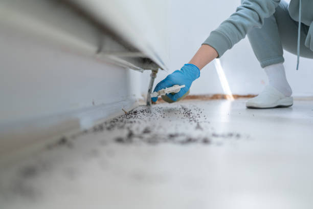 Best Cockroach Control Services  in Thompsonville, PA